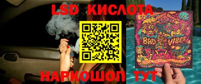 прущие грибы Славгород