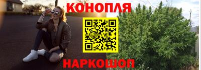 PSILOCYBIN Сланцы