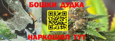 PSILOCYBIN Сланцы