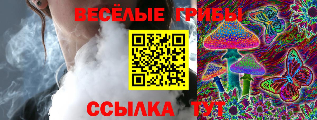 Псилоцибиновые грибы Psilocybine cubensis Орёл
