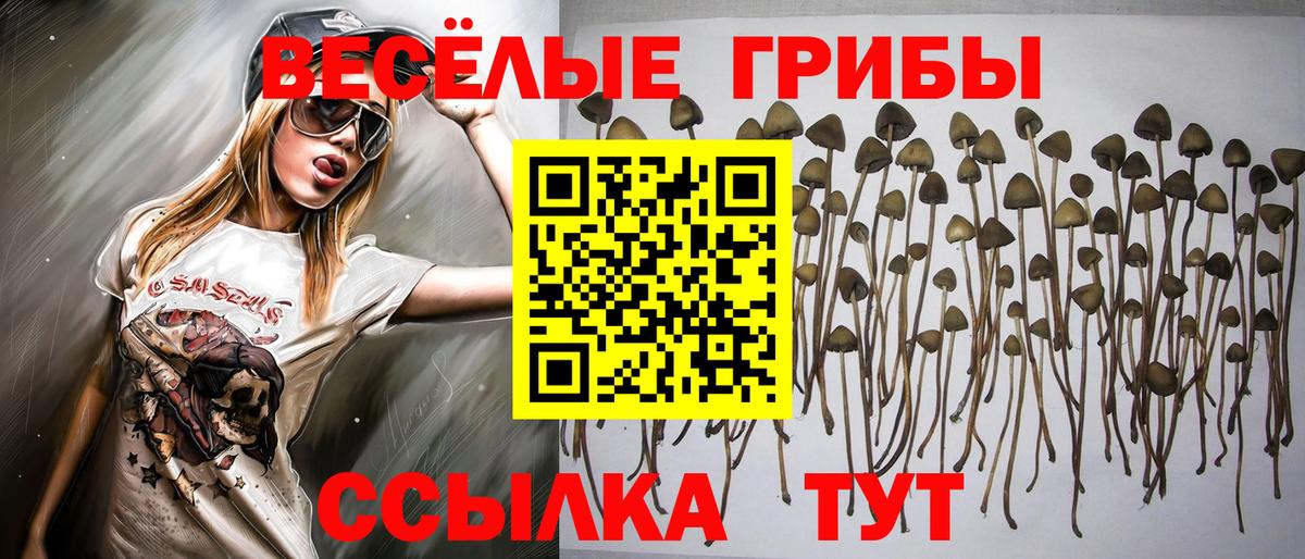 Псилоцибиновые грибы ЛСД  Вход с VPN  Орёл 